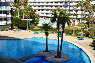 Apartment in Puerto Alcudia with Pool View